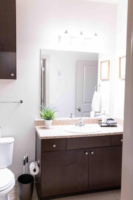 Amplify Spaces 1 And 2 Bedroom Apartments, Downtown Birmingham, Uab מראה חיצוני תמונה